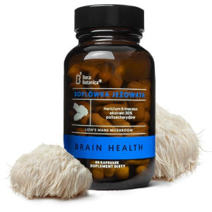 Soplówka jeżowata - Hericium Erinaceus 30% BOCA BOTANICA