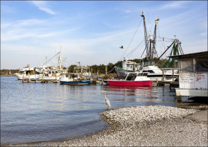 Bayou La Batre fishing village., Carol Highsmith -