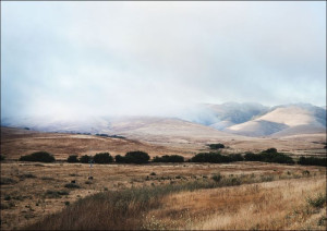 Beautiful scenics along Route 46 in California., C