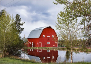 Barn and reflection in Oregon., Carol Highsmith -