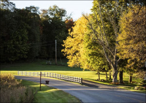 Autumn is upon you in rural Knox County, Ohio, nea