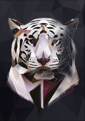 Biały tygrys, ciemne tło - plakat 40x50 cm