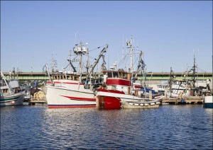 Boats at the docks in Seattle, Washington, Carol H