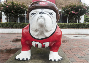 Bulldog mascot in the University of Georgia, Athen