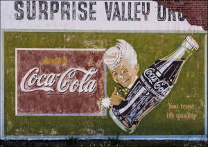 Billboard in Cedarville, California., Carol Highsm