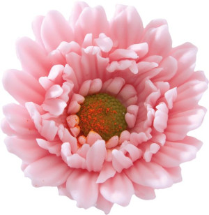 GERBERA na tort, RÓŻOWA