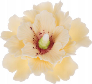 Duży kwiat na tort - HIBISKUS ECRU