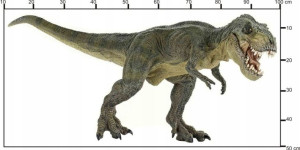 Naklejki XL dinozaury dinozaur, t-rex, tyranozaur