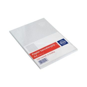 Papier Kancelaryjny A4/100k