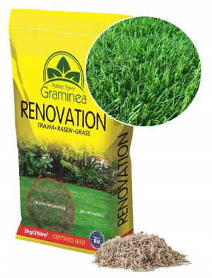 Trawa Renowacyjna Graminea Gazonowa 15Kg