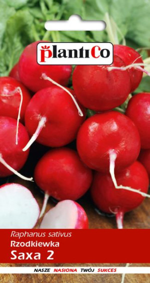 Rzodkiewka Saxa Polana 10g PlantiCo