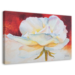 OBRAZ NA PŁÓTNIE Piwonia Peonia Kwiat 60x40