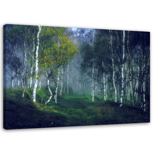 OBRAZ NA PŁÓTNIE Las Brzozowy we Mgle 90x60