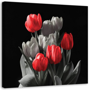 OBRAZ NA PŁÓTNIE Tulipan Czerwony Szary 40x40