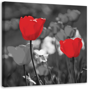OBRAZ NA PŁÓTNIE Czerwone Tulipany Kwiaty 60x60