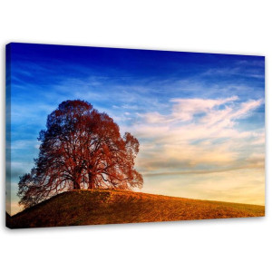 OBRAZ NA PŁÓTNIE Drzewo na wzgórzu natura 120x80