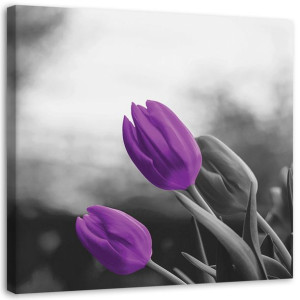 OBRAZ NA PŁÓTNIE Kwiaty Fioletowe Tulipany 30x30