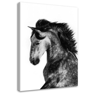 OBRAZ NA PŁÓTNIE Koń Zwierzęta Galop 70x100