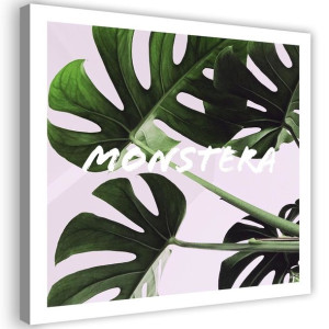 OBRAZ NA PŁÓTNIE Monstera Egzotyczne liście 40x40