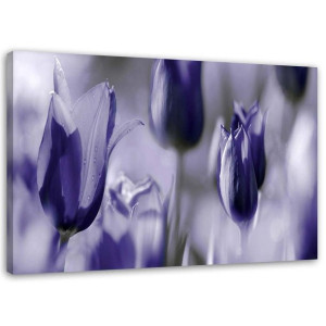 OBRAZ NA PŁÓTNIE Tulipany Kwiaty Fioletowy 60x40