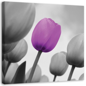OBRAZ NA PŁÓTNIE Tulipan Fioletowy Szary 50x50