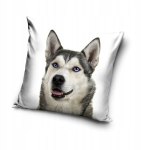 Poduszka z Poszewką 40x40 Pies Piesek Husky Haski