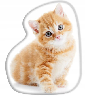 Poduszka Kształtka Dziecięca Kot Kotek z Kotem Cat