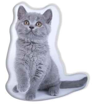 Poduszka Kształtka Dziecięca Kot Kotek z Kotem Cat