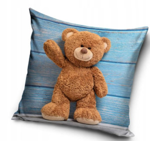 Poduszka z Poszewką 40x40 Miś Misio z Misiem Bear
