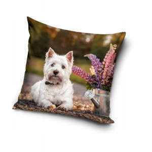 Poszewka 40x40 Na Poduszkę Pies Psy White Terrier