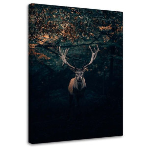 OBRAZ NA PŁÓTNIE Jeleń Las Natura Zwierzęta 40x60