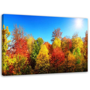 OBRAZ NA PŁÓTNIE Las Jesień Krajobraz Natur 120x80