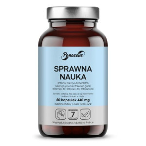 Sprawna Nauka (50 kaps.)