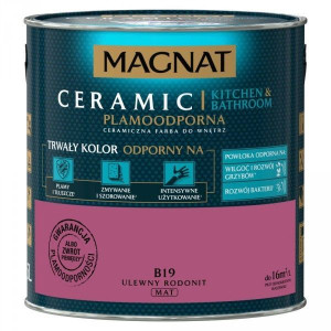Magnat Kuchnia-łazienka B19 Ulewny Rodonit 2,5l