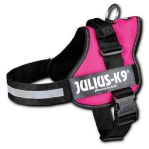 Szelki Julius-K9, 2/L–XL: 71–96 cm, fuksja