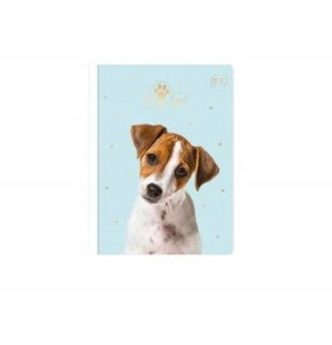INTERDRUK Zeszyt w kratkę 16k A5 Jack Russell Terr