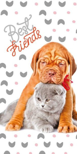 Ręcznik 100% bawełna 140x70cm Best Friends