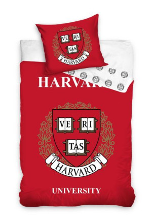 Pościel młodzieżowa 100% bawełna 160x200 HARVARD