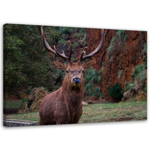 OBRAZ NA PŁÓTNIE Jeleń Las Natura Zwierzęta 90x60