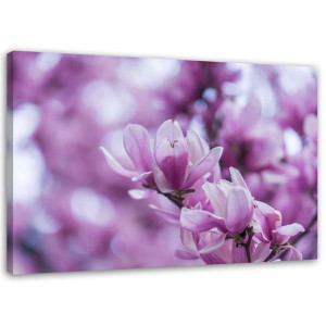 OBRAZ NA PŁÓTNIE Magnolia Kwiat Przyroda 120x80