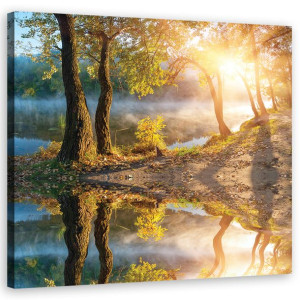 OBRAZ NA PŁÓTNIE Las Krajobraz Natura 80x80