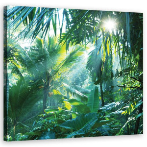 OBRAZ NA PŁÓTNIE Las Tropikalny Natura 50x50