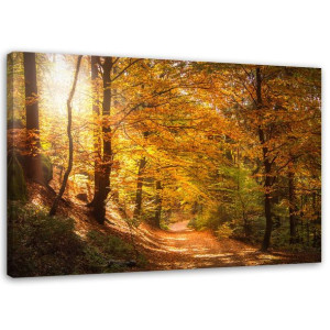 OBRAZ NA PŁÓTNIE LAS JESIENNY Krajobraz natura 120x80