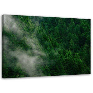 OBRAZ NA PŁÓTNIE Zielony Las we Mgle Natura 60x40