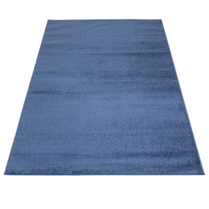 Dywan nowoczesny P113A DARK BLUE SPRING 0.80x2.00