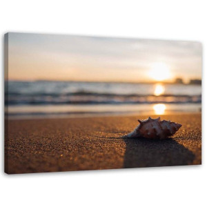 OBRAZ NA PŁÓTNIE Muszelka Plaża Piasek 100x70