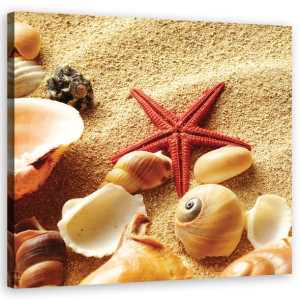 OBRAZ NA PŁÓTNIE Muszelki Plaża Piasek 60x60