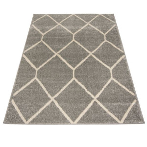 Dywan nowoczesny H180A GRAY SPRING 1.60x2.30