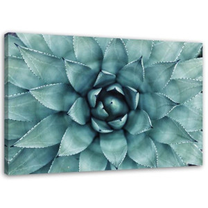 OBRAZ NA PŁÓTNIE Aloes Roślina Kwiat 120x80
