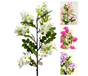 Wisteria glicynia gałązka wisterii zwis kwiatowy złotokap 90cm biały